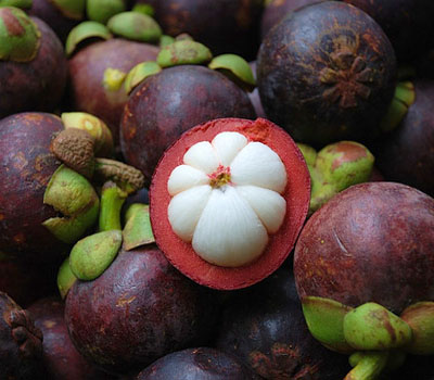 Mangosteen