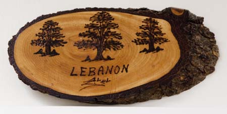 Lebanon Cedar